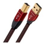 Cinnamon USB A – B