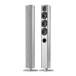 Ace 50 Floor Standing Speaker