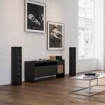 HiFi RosexPiega Switzerland Coax 611 Floor Standing Speakers x Hifirose Ultimate System - Image 2