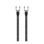 Black Hole Ground Goody