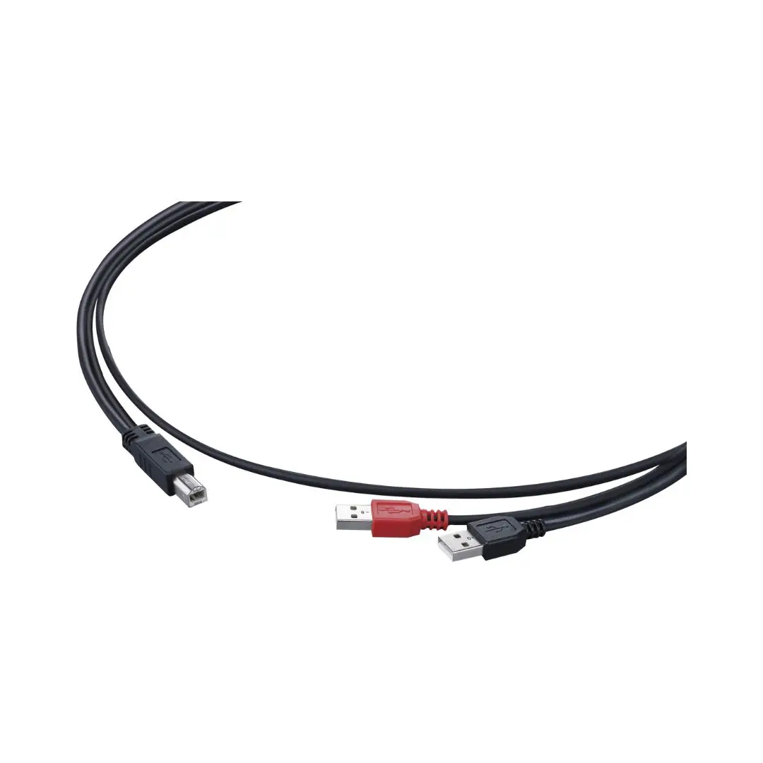 1 Pioneer DJ DJC-WECAI iPad Cable for DDJ-WeGO & DDJ-ERGO - Image 1
